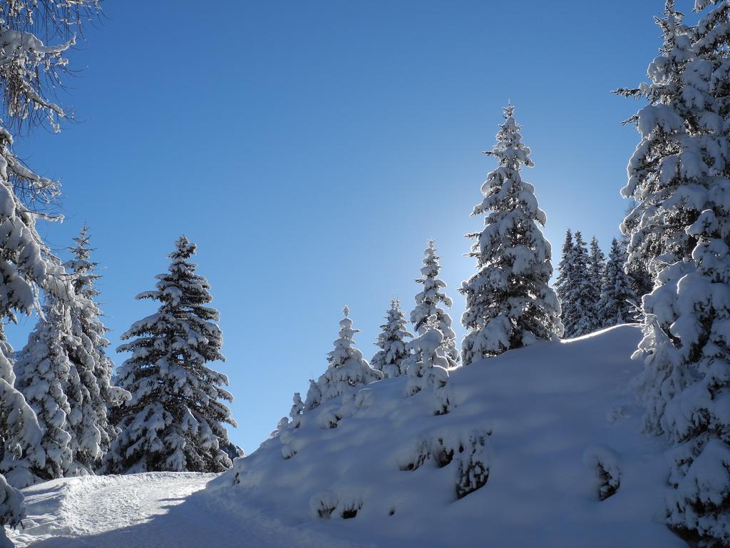 Bed and Breakfast Shima-Davos Exterior foto